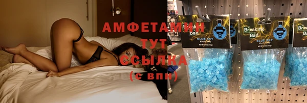 тгк Новодвинск