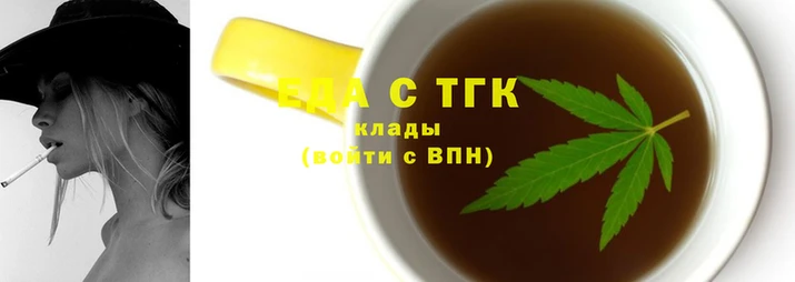 тгк Новодвинск