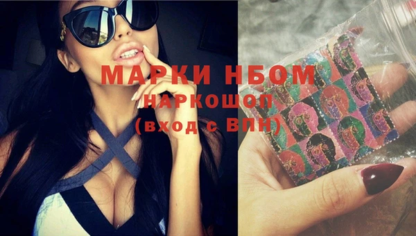 шишки Нея