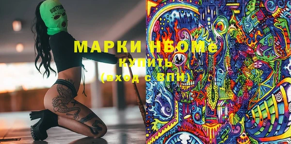 тгк Новодвинск